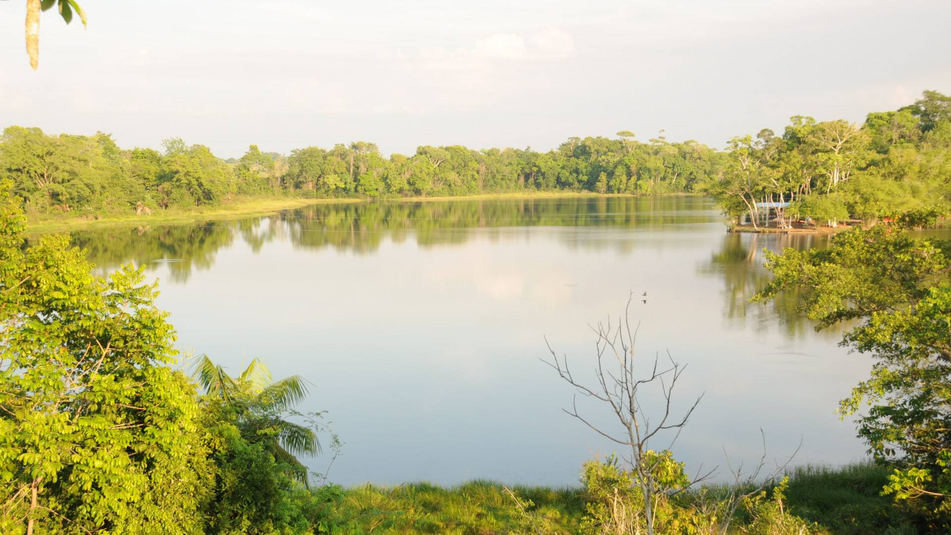 Paisaje natural de la región